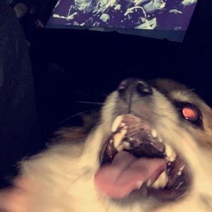 Meet your Posher, Steven